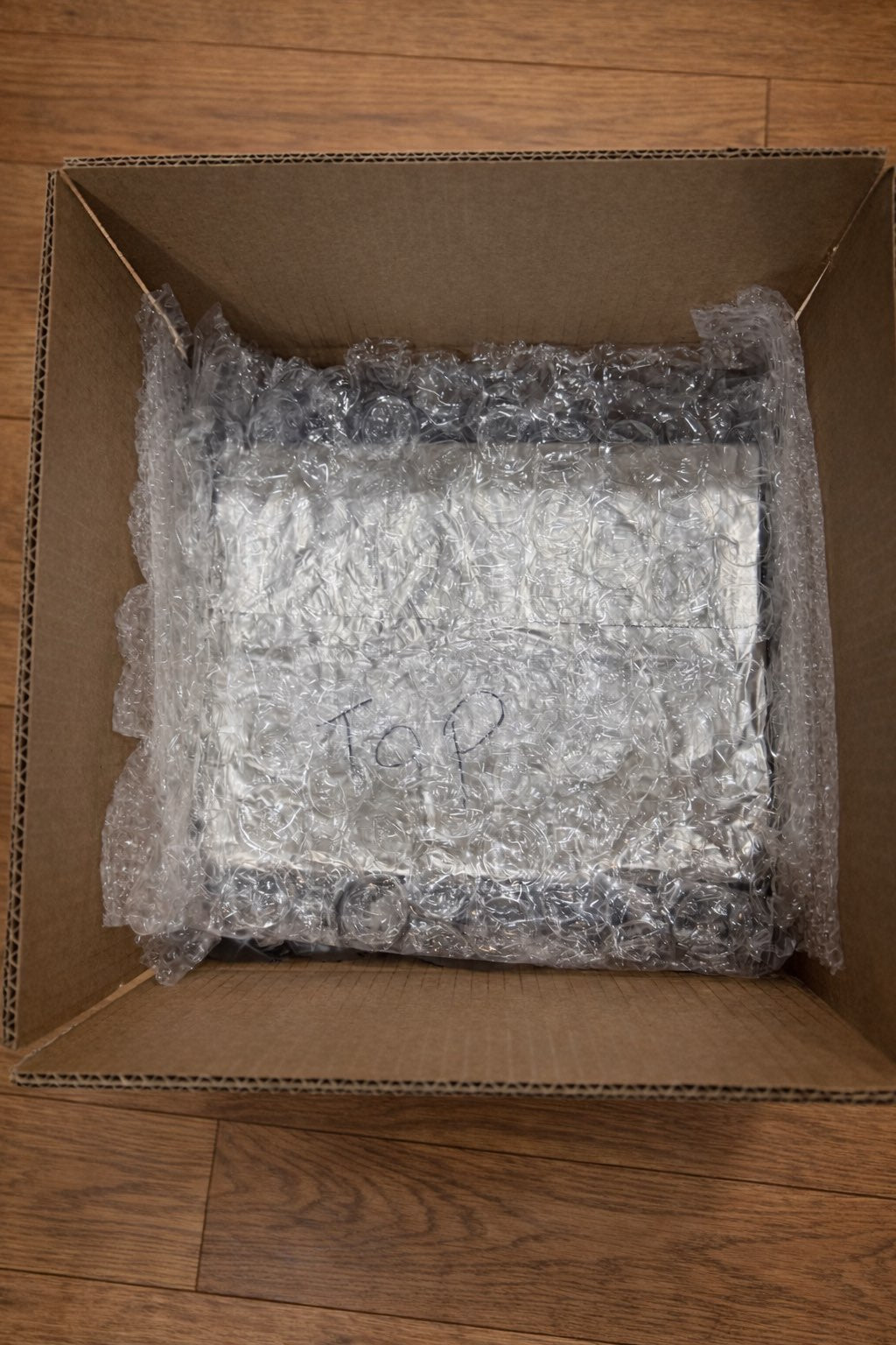 Jackraptor Hatching Eggs