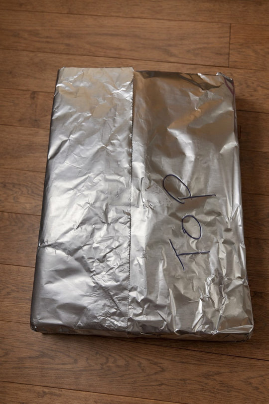 Jackraptor Hatching Eggs